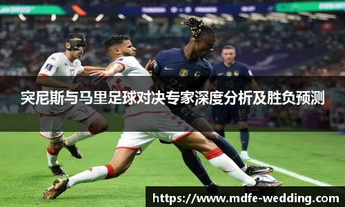 突尼斯与马里足球对决专家深度分析及胜负预测